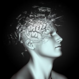 Cerebro humano y neuroplasticidad