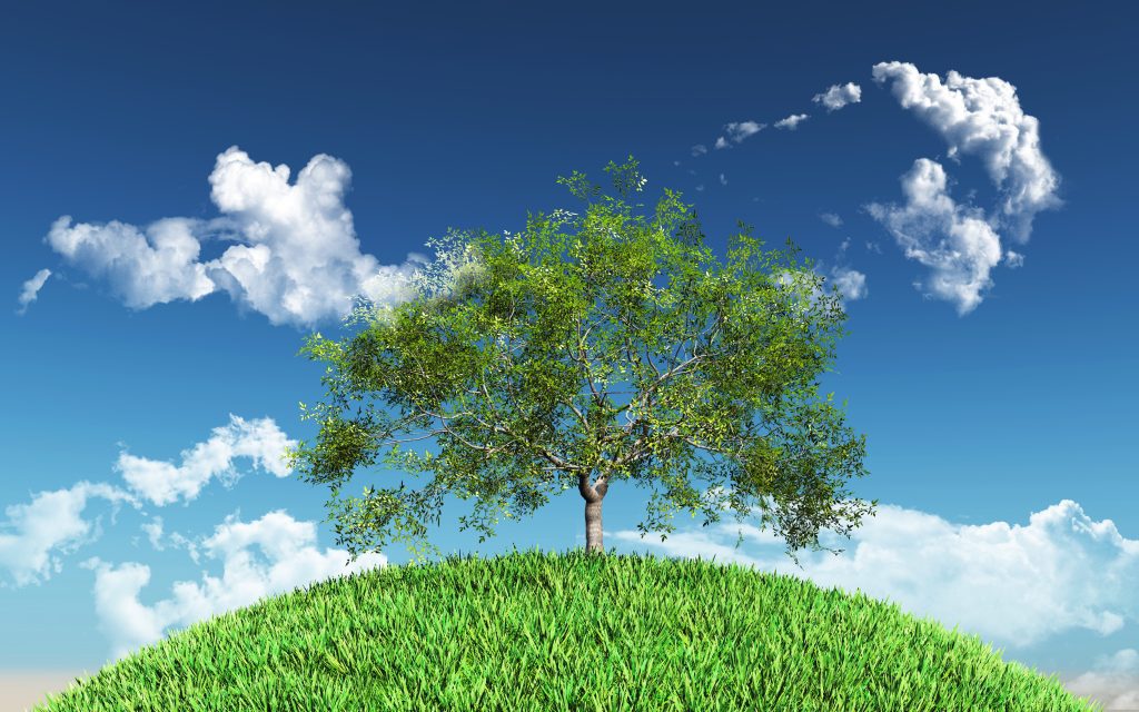 Arbol que crece verde simbolizando el crecimiento personal saludable